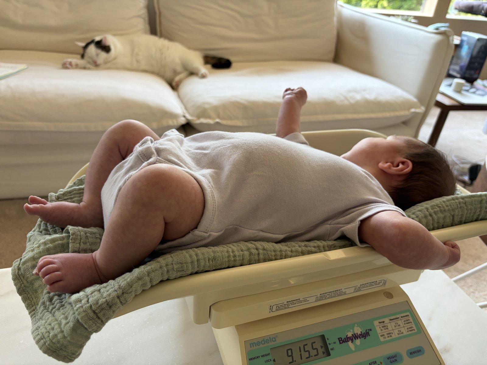Baby resting on an infant scale during an in-home lactation visit